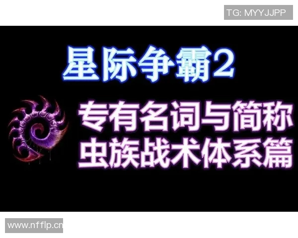 伊森谈更重要角色：时间和机会是我战术设计的关键因素