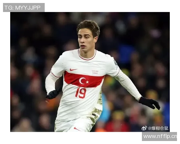 土耳其国家队新名单公布居莱尔恰尔汗奥卢伊尔迪兹入选乌尊未能入选 土耳其国家队新名单公布居莱尔恰尔汗奥卢伊尔迪兹入选乌尊未能入选